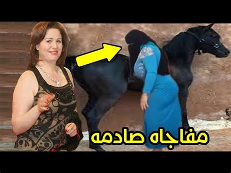 مقاطع سكس حيوان|الجنس الحيواني و اباحي حديقة الحيوان. مقاطع الفيديو الأعلى تقييمًا.